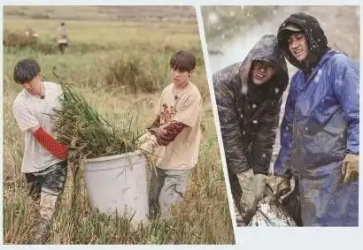 种地吧综艺的价值回归后考验刚开始
