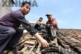 新华社通稿播发福建松溪冰雹灾害之后纷纷开展自救
