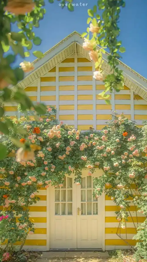 思念给爱过的那个男女