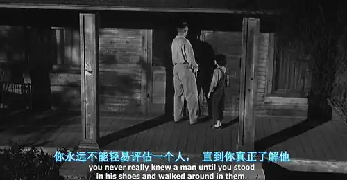 怎么评价杀死一只知更鸟
