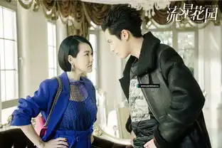 新版流星花园小s神助攻王鹤棣戏里戏外反差萌