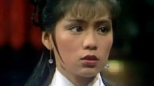 这首月满西楼太美了,配上翁美玲黄日华的古装剧,听醉了