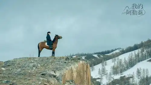 浅析白玉兰奖入围名单现实题材为主,85后创作者闪耀