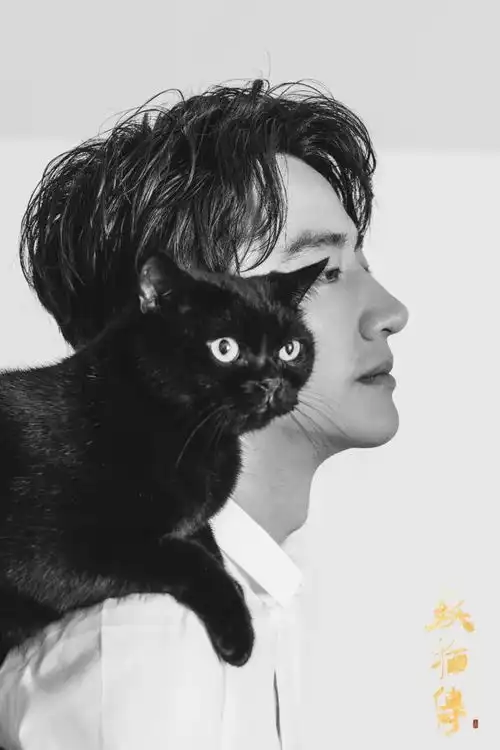 火爆热映丨陈凯歌最新力作丨妖猫传梦回唐朝,遁入那一场绚烂的极乐盛宴