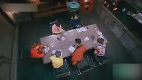 令人捧腹大笑的撒贝宁日常
