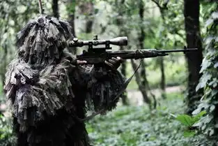 狙击手参加奥运会射击比赛会如何班门弄斧,毫无意外被淘汰
