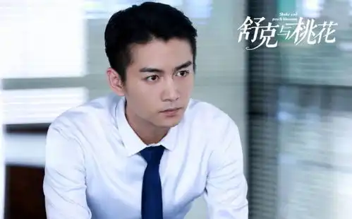 舒克与桃花舒克空降叶氏为董事长,但最终却和陶花分道扬镳