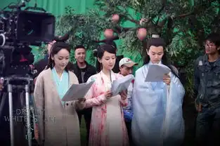 张艺谋捧的女星里最惨的两个,一个给杨紫做配,一个给刘昊然做配
