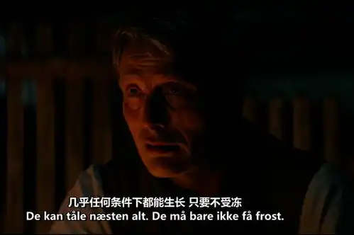 8.2分他的片子一上映就破圈,不愧为丹麦顶流
