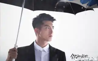 2018年11月将上映的7部电视剧,赵丽颖郑爽景甜,你想看谁的
