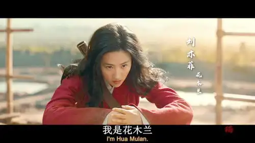 李连杰刘亦菲2020版花木兰高清精彩武打片段