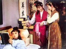 电视剧红楼梦1987年经典剧照
