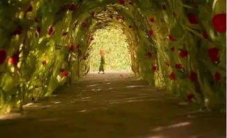 跟着芒果网探寻小王子的足迹