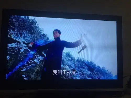 记王少棠半妖倾城