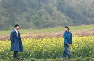 山楂树之恋高清在线观看山楂树之恋dvd高清山楂树之恋下载