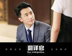 亲爱的翻译官电视剧142全集大结局在线观看百度云
