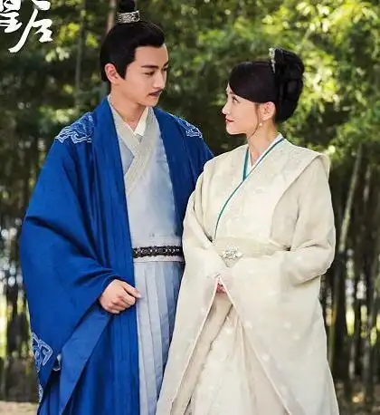 独孤皇后杨丽华历史原型是谁独孤伽罗和杨坚有几个孩子