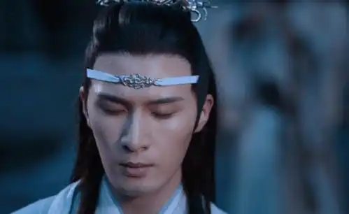 陈情令金光瑶比蓝曦臣更加了解,蓝忘机对魏婴的感情