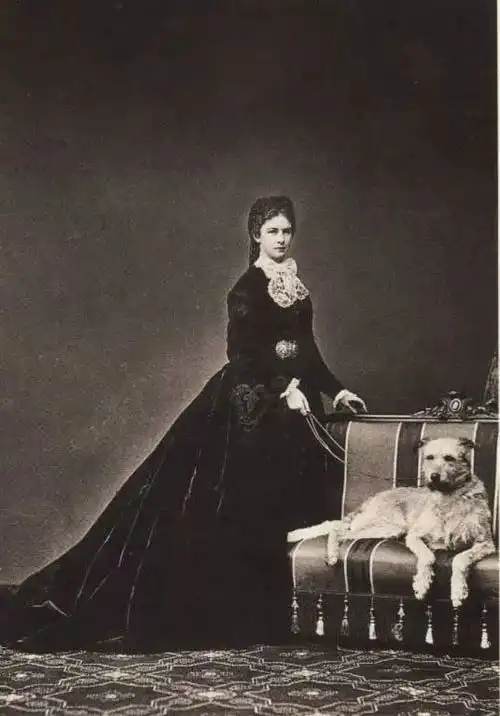 谁家的婚姻不是鸡零狗碎