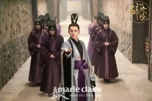 连剧照都能被故宫用作展品真古装带货刘诗诗
