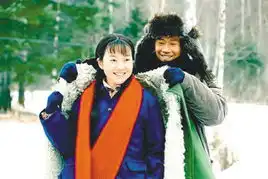 电视剧北风那个吹的精彩与争议