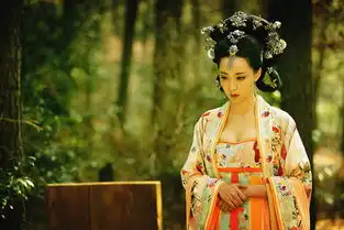 网友恶搞剪胸版武媚娘传奇