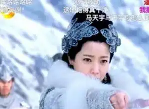 娱乐
