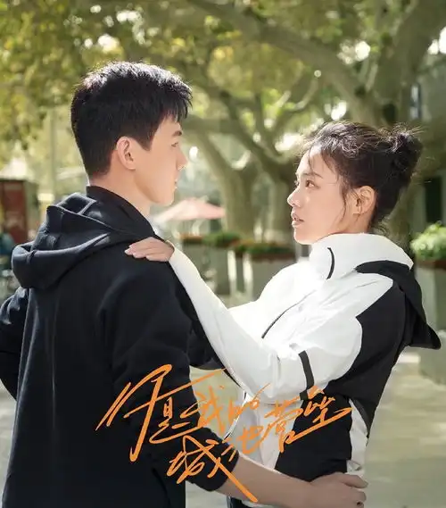 9部网播量破10亿的甜爱剧司藤33亿我的小确幸13亿,都是必追甜剧
