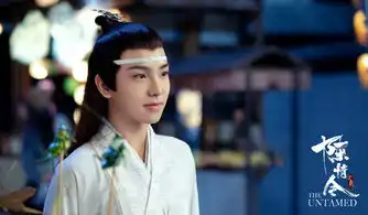 陈情令蓝思追剧照