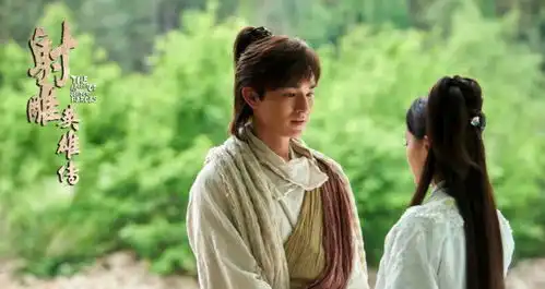 射雕英雄传简介射雕英雄传剧情射雕英雄传演员射雕英雄传角色介绍射雕英雄传评价怎么样射雕英雄传好看吗金投热点网