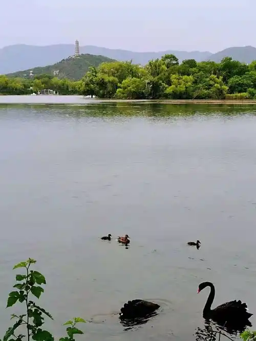 第941期精彩纷呈好看看好