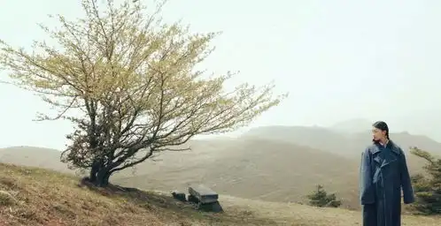 刘诗伟去百里荒看山楂树散文
