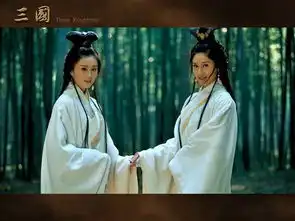 四家卫视热播引发关注新版三国收视率第一
