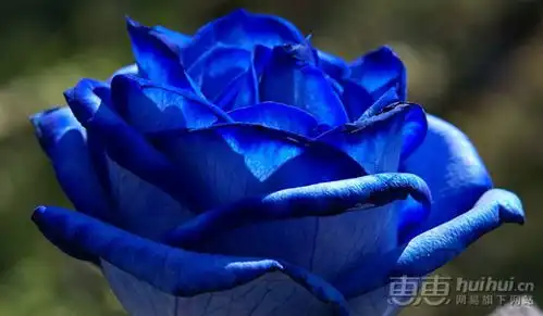 2018夏令营奇幻森林童军冒险营
