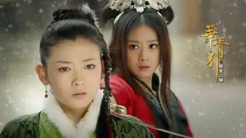 使徒行者盗墓笔记风中奇缘美人制造琅琊榜2014下半年最火电视剧