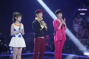 第二季中国好声音学员孟楠5546034