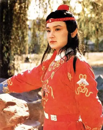 红楼梦中贾宝玉的真实身份