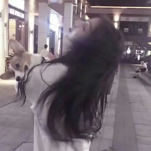 头像江湖不信眼泪,你的孤独无人体会