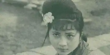 87版红楼梦里,被删减的4大镜头,贾宝玉见秦钟,妙玉被强盗掳走
