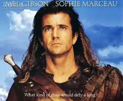 c9c40d32c69ebba4a8018e92