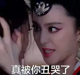 一下拍烂片一下拿影后,范冰冰离演员还有多远