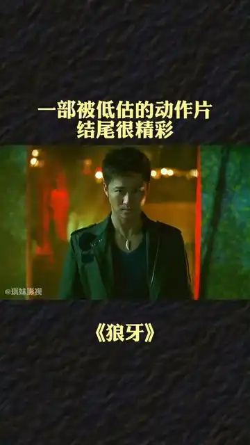 一部被低估了的动作片,吴京导演处女作,结尾很精彩也很伤感狼牙
