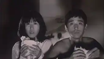 当村上春树被搬上大荧幕

