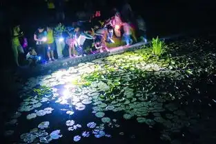点亮孩子的仲夏夜之梦夏季上海最火爆的夜游活动
