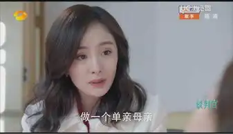 谈判官夏杉杉决定当单亲妈妈,却为爱与童薇反目终将一无所有
