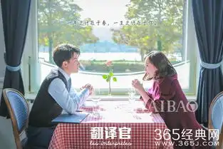 2016年电视剧收率前十位出炉翻译官高居榜首,红色剧不甘落后占三席
