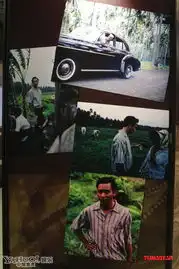 张国荣珍贵旧照曝光潘迪华赞哥哥绝世名伶
