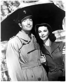 你所谓的稳定得有件100年不过时的风衣吧
