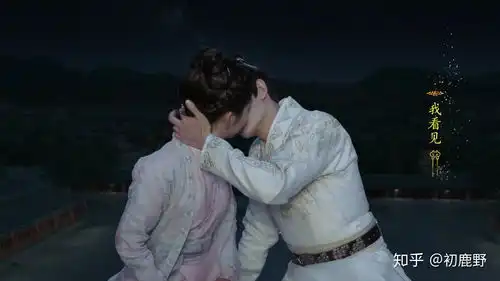 锦衣之下书评九两个吻,是情难自已还是谋定而后动
