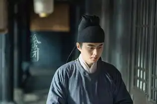 孤城闭曝王凯江疏影剧照
